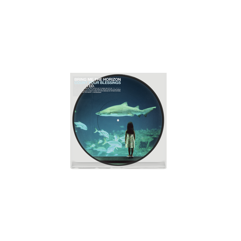 Count Your Blessings 20th Anniversary Picture Disc